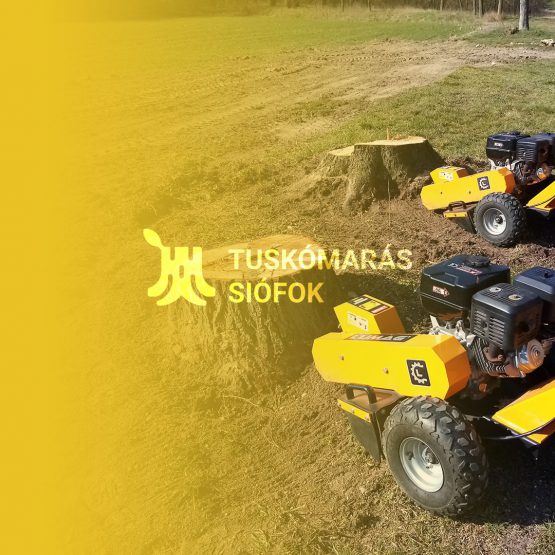 Tuskómarás weboldal készítés