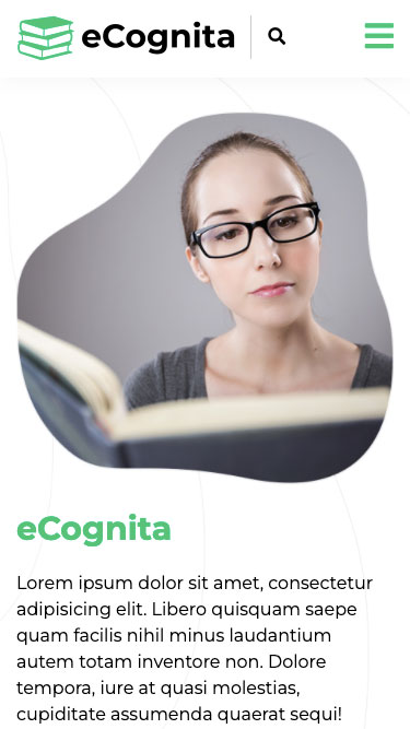 eCognita webdesign, mobilnézet, reszponzív sitebuild