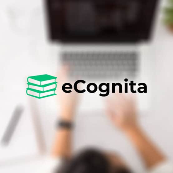 eCognita webdesign, frontend, sitebuild